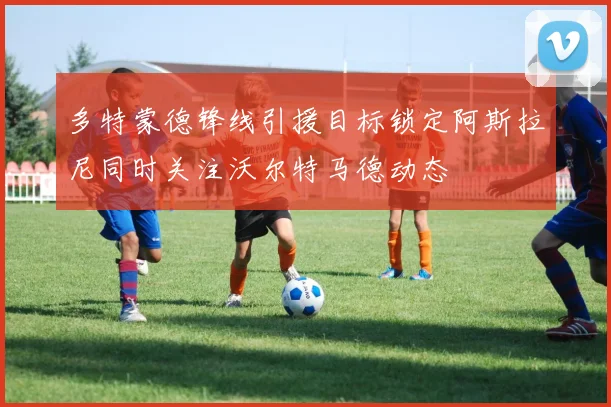 多特蒙德锋线引援目标锁定阿斯拉尼同时关注沃尔特马德动态