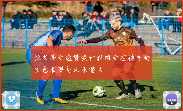 拉基蒂奇盛赞武什科维奇在德甲的出色表现与未来潜力