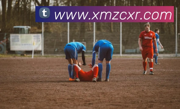 九游体育官网网页入口APP 封面图